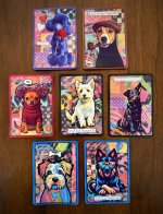 Dogs for ATCS FOR ALL.jpg