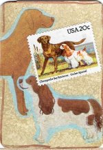 1492  Dogs Not HD HP   Cocker Spaniel.jpg