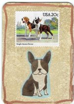 1493  Dogs Not HD HP   Boston Terrier.jpg