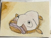 Blobfish.jpeg