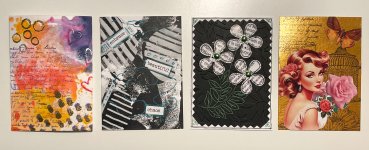 IMG_6974.jpeg