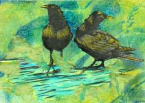 watercrows.jpg