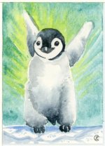 Penguin Star.jpg
