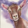 GoatTown