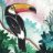 Gaia