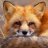 FlameTailFox