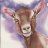 GoatTown