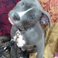 Tyson