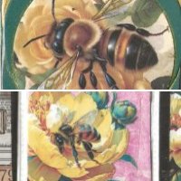Save The Bees Swap
