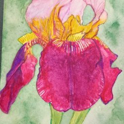 PIF post card swap