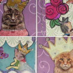 Royal Court Of Pets