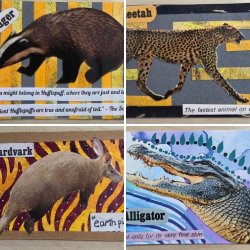 Animal Parade