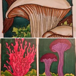 Open Theme Swap: Mushrooms 🍄