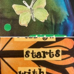 starry - available for trade