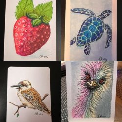 Sept Traded Cards