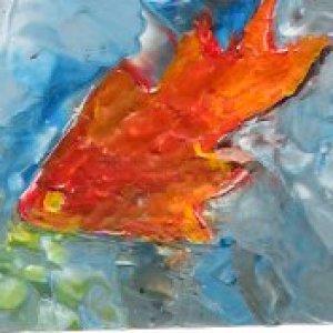 Gold Fish