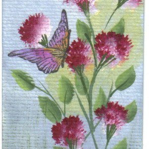 Butterfly joys in pink