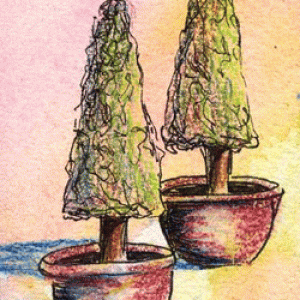 Potted Trees