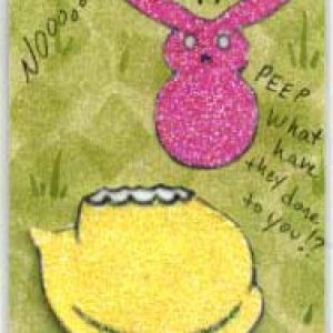 What have they done?