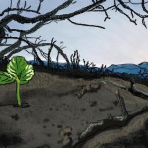 Rebirth - Digital Drawing