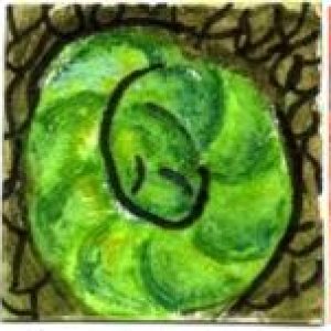 1st Inchies - Available