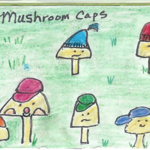Mushroom caps