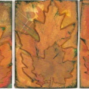 Many Colors of Fall