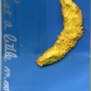 What a little moonlight can do