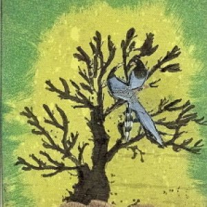 Two Birds & a Tree