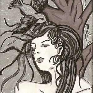 the bird and the girl