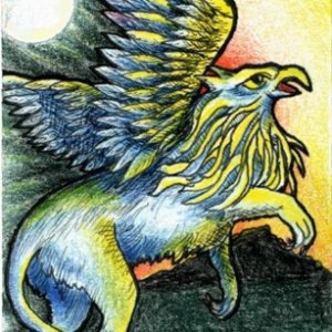 Fantasy Creature Contest