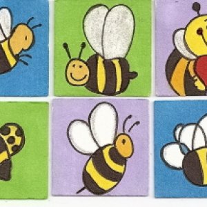 Bees- traded