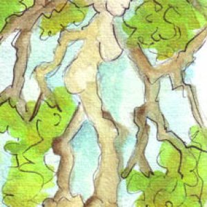Tree Woman