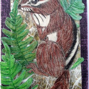 Fern - August Cute Critters