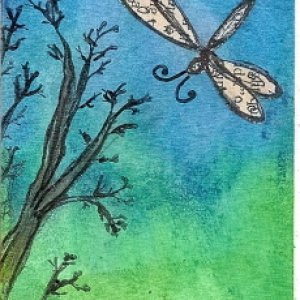 Butterfly.
