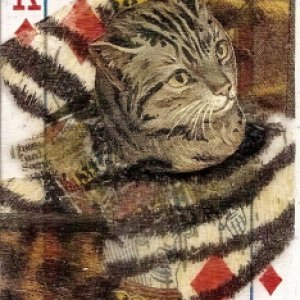 Beeswax Cat