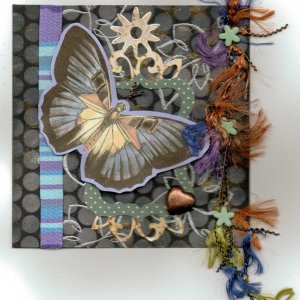 butterfly chunky