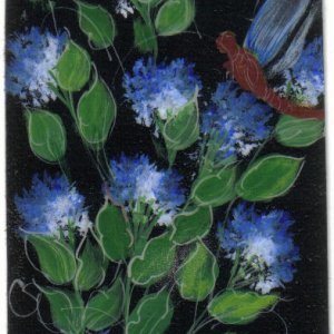 dragonfly blues