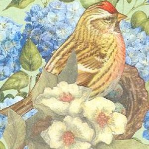Birds Made for Paperscraps Beautiful Bird Swap