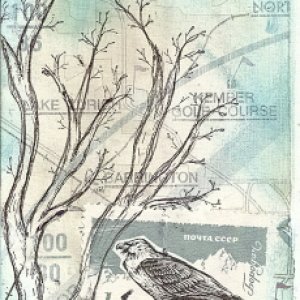 Bird Stamp II