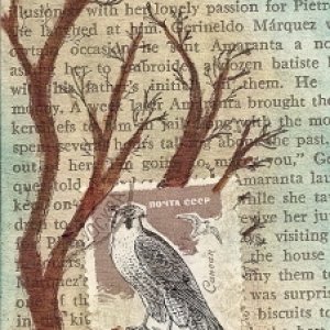 Bird Stamp I