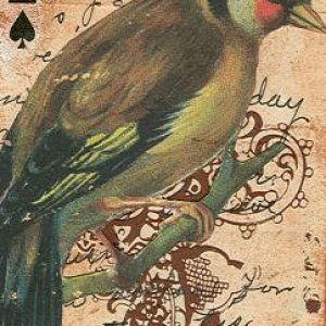 2 Of Spades ~ Apc Traded Made for Art-A-Thon