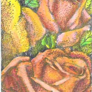 watercolored roses 4