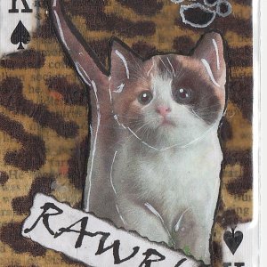 Rawr!