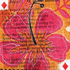 Beeswax/Soywax Swap