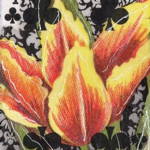 Beeswax/Soywax Swap