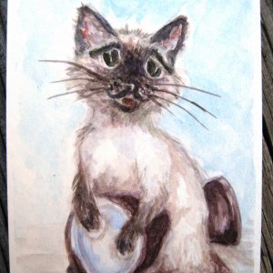 Shahzaadee's Cat Drummer