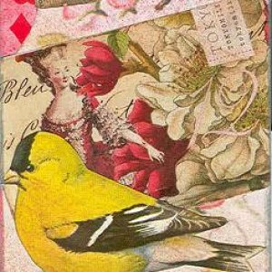 Marie Antonettie