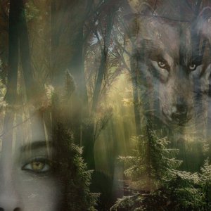 Bell and her wolves
