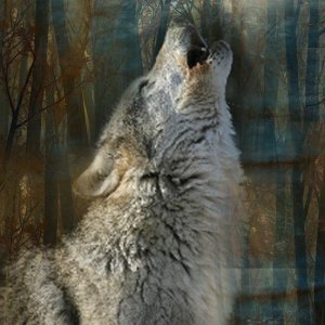 Leader of the Pack